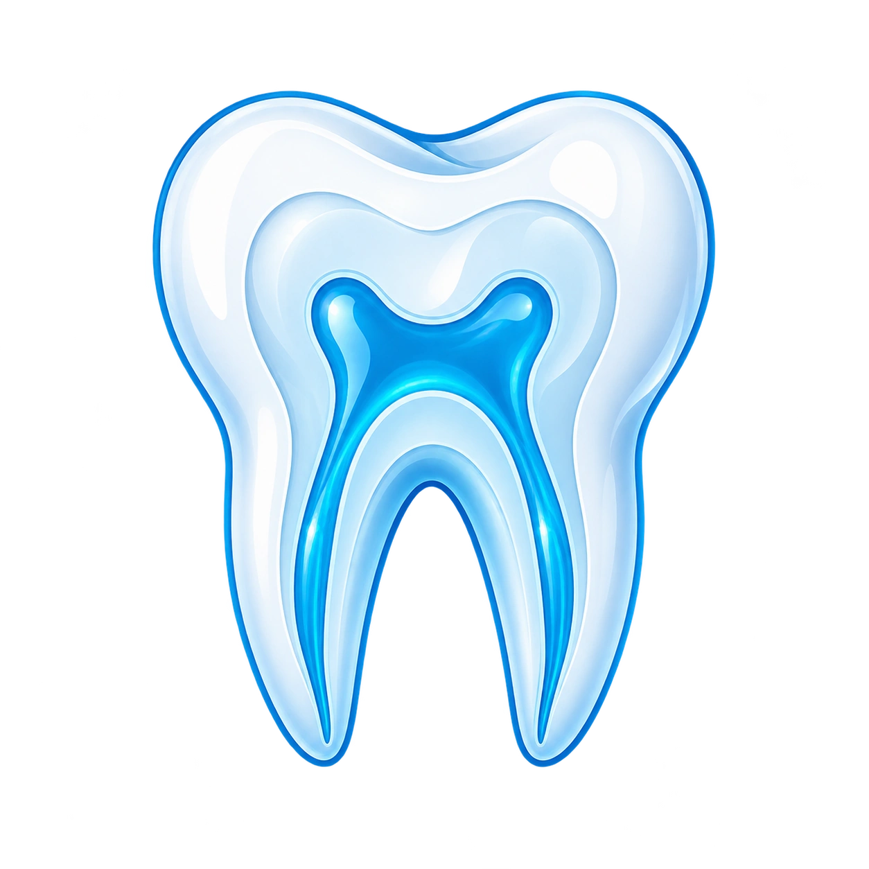 dente_lucido_con_canali_radicolari.webp